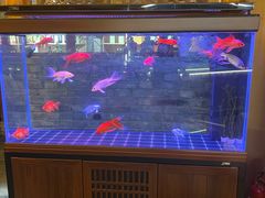 -来小酌·长安酒家(翠庭大厦店)
