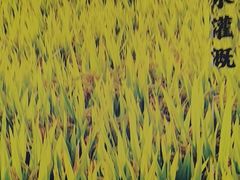 -和合谷(百荣店)