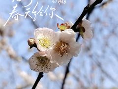 -无锡梅园公园