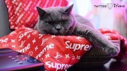 -飛凡TATTOO纹身•原创