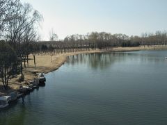 -大兴滨河森林公园