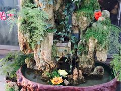 -保定市花鸟鱼虫市场