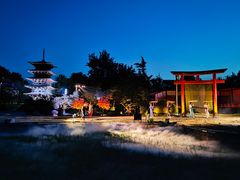 -北京世界公园