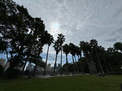 -江心屿景区