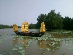 -大湾区中央湿地公园