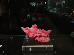 -中国地质博物馆