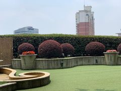 -上海龙之梦万丽酒店