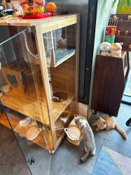 -極致刺青TATTOO STUDIO 私人订制