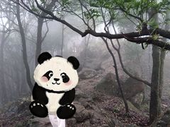 -梧桐山风景名胜区