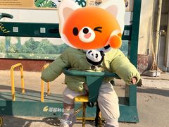 -保定市动物园