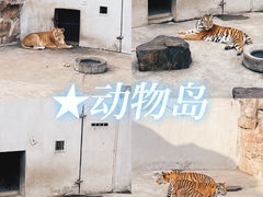 -和平公园