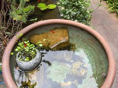 -肴约·花园式餐厅(湖里店)