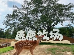 -盈香心动乐园