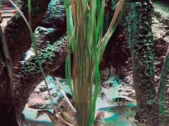 -沈阳海洋探索中心