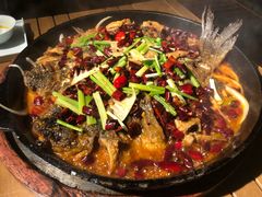 -老板恋上鱼(恒隆广场店)