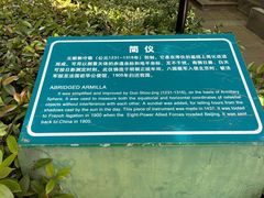 -紫金山山顶公园