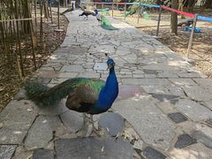 -宁波野生动物园