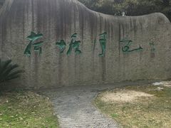 -荷塘月色湿地公园·向阳花洲