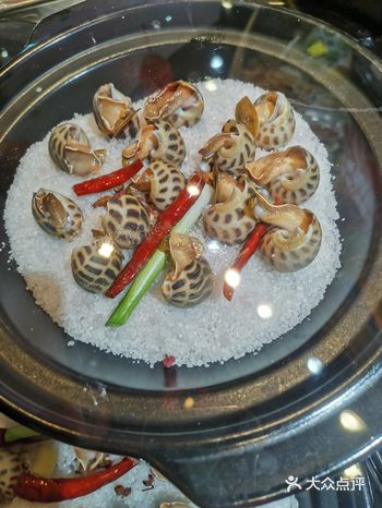 盐焗花螺：海盐包裹的鲜爽滋味   在琳琅满目的美食中
