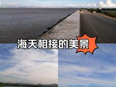 -大湾区中央湿地公园-十九涌