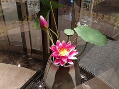-厦门悦华酒店