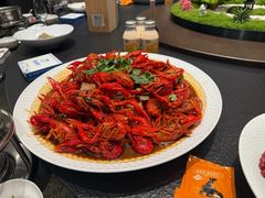 -杨氏青龙虾·羊蝎子(托乐嘉店)