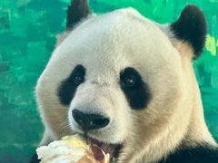 -五龙山野生动物王国