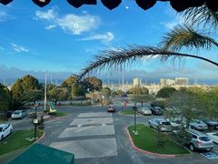 -香港东海海鲜酒家