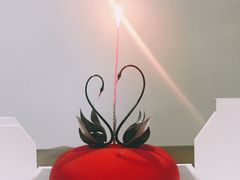 -BLACKSWAN黑天鹅(环球店)