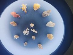-中国湿地博物馆