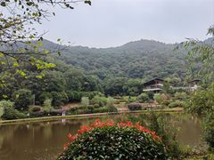 -桃花岭景区
