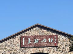 -千岛湖石林