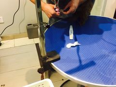 -PETKIT 小佩宠物·低压洗护·美容·寄养(安远店)