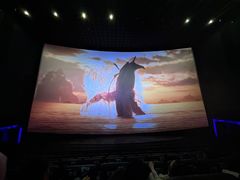 -寰映影城(大融城激光IMAX店)