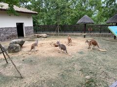 -上方山森林动物世界