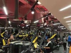 -威尔仕健身(新天地店)