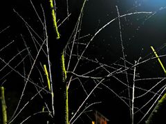 -西南政法大学(沙坪坝校区)
