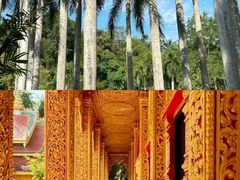 -曼听御花园