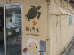 -南丫岛
