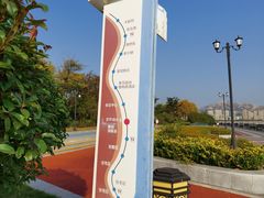 -星光岛