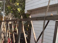 -光明刘冰乳鸽店(光明法政北路店)