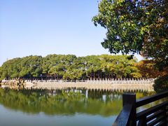-白马涧龙池景区