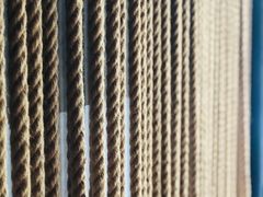 -半天妖烤鱼(方庄店)