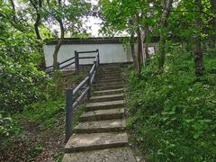 -上海佘山国家森林公园天马山园