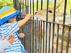 -鄂尔多斯野生动物园