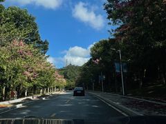 -东莞市大岭山森林公园