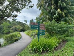 -新加坡植物园