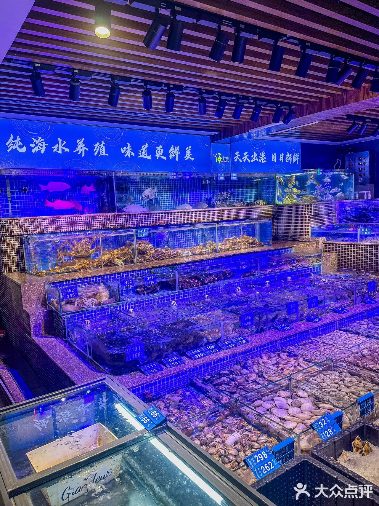 在深圳‼️这家蒸海鲜没有对手啊