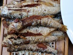 -石屏会馆