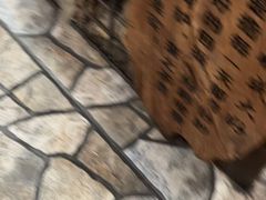 -破瓦寒窑烤羊排·鲜牛肉烧烤